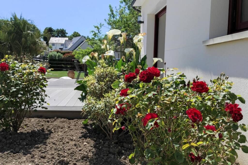 ✪ Sur La Route Des Plages - Maison Pour 8 Pers. ✪ Auray Zewnętrze zdjęcie